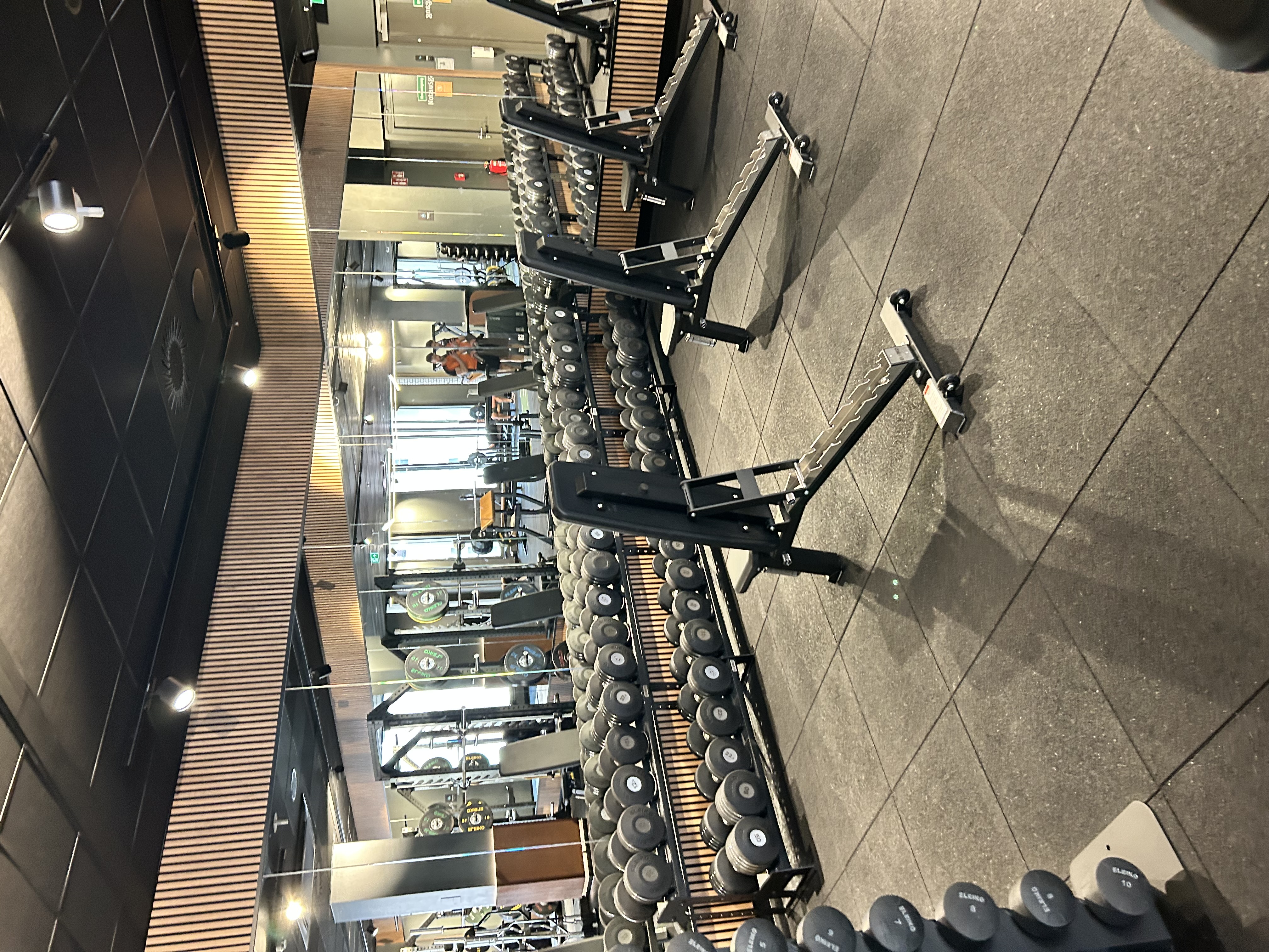 EVO Fitness Wiesbaden Freihantelbereich