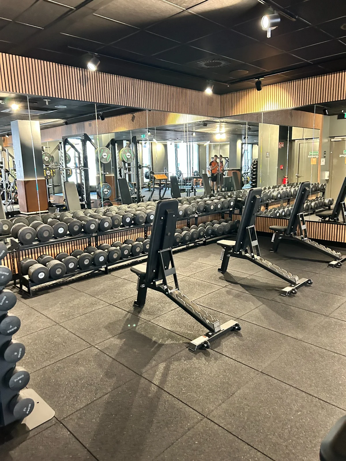 Hantelbereich im EVO Fitness Wiesbaden